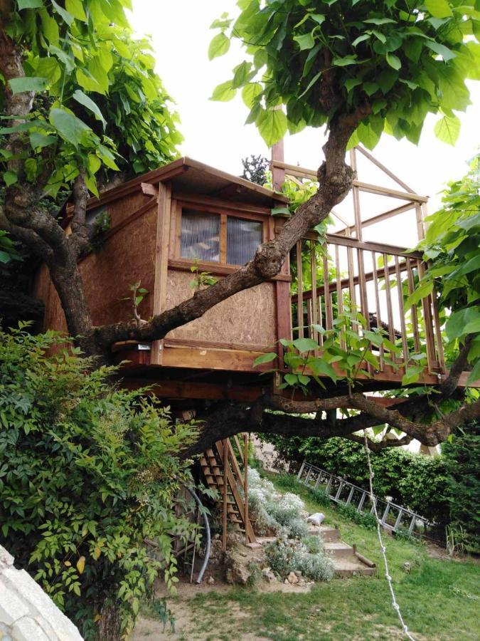 Six Steps From The Forest Zigos  Exterior foto