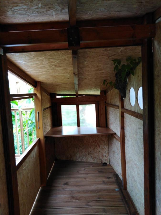 Six Steps From The Forest Zigos  Exterior foto