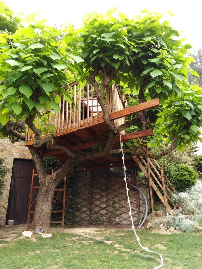 Six Steps From The Forest Zigos  Exterior foto