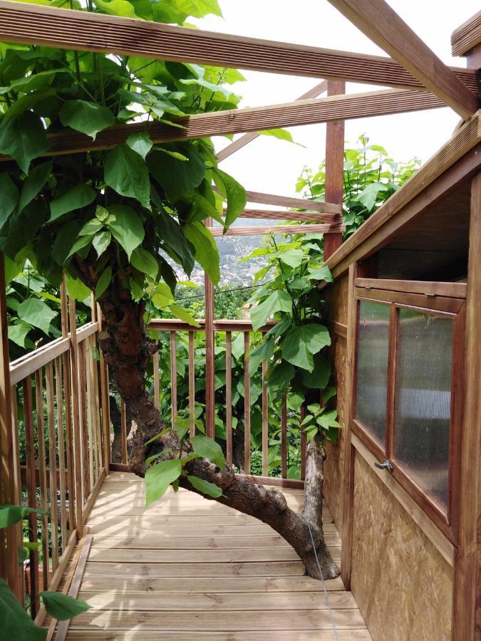 Six Steps From The Forest Zigos  Exterior foto