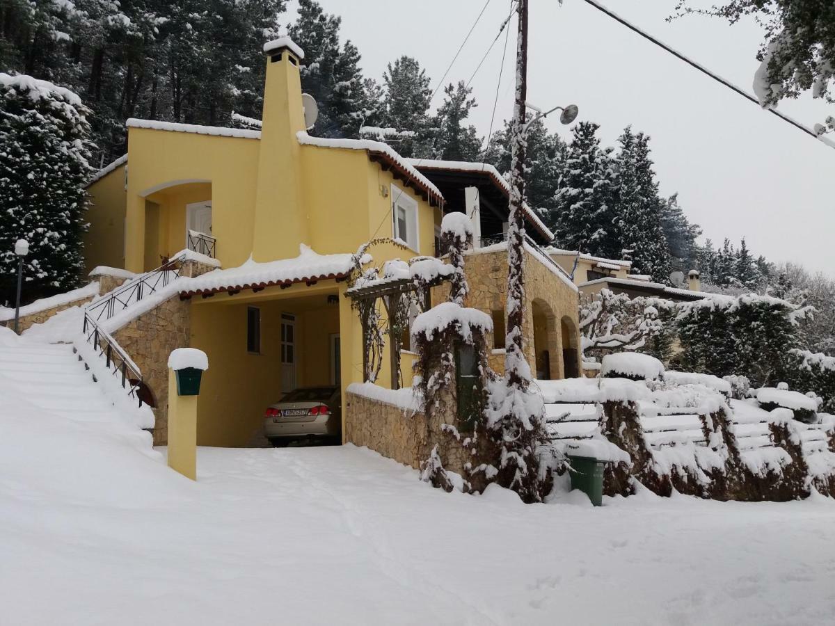 Six Steps From The Forest Zigos  Exterior foto