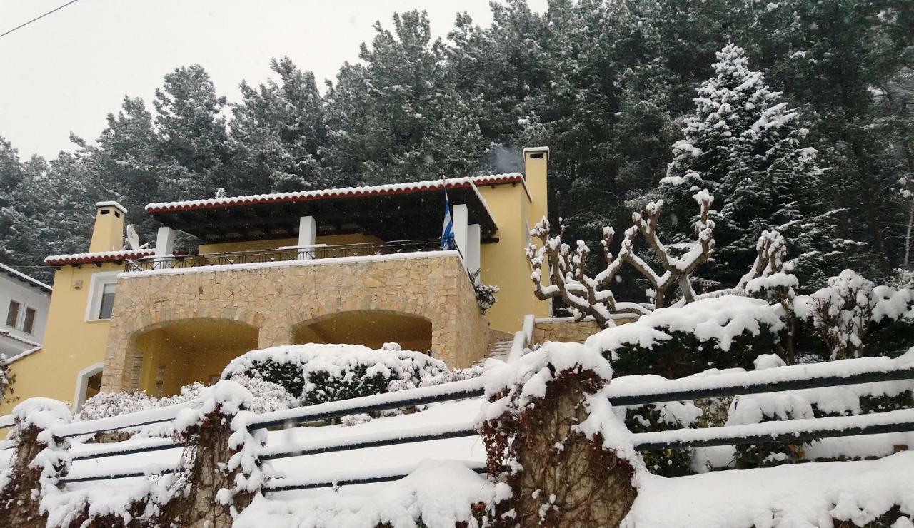 Six Steps From The Forest Zigos  Exterior foto